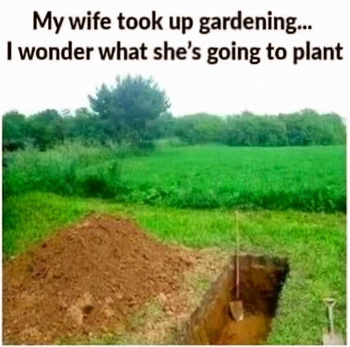wife took up gardening wondering what plant gravesite