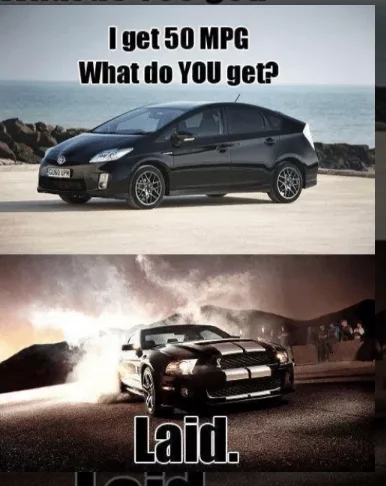 e3d2c6c727e07bcd.webp