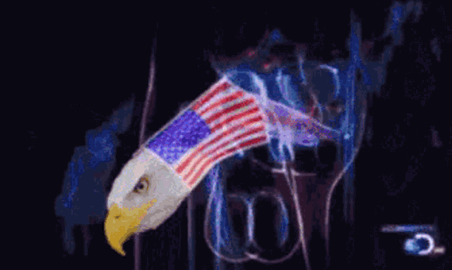 eagle-penis-eagle-dick.gif
