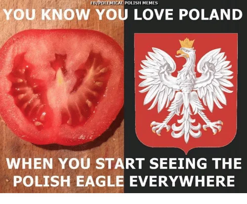 eagle.png