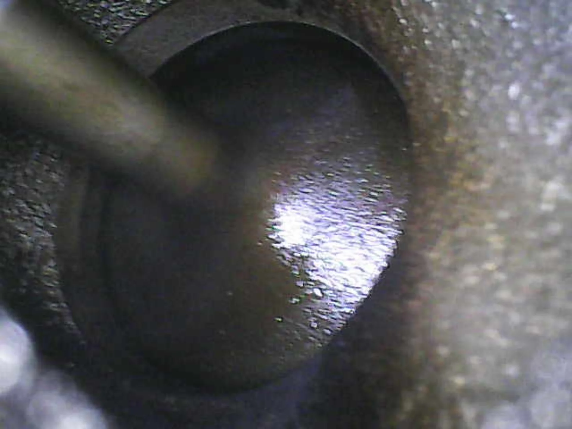 ECA18AE4-59DC-4F6F-A17E-E159829E6DA6.webp