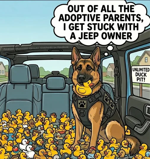 EEEW DUCKS.webp