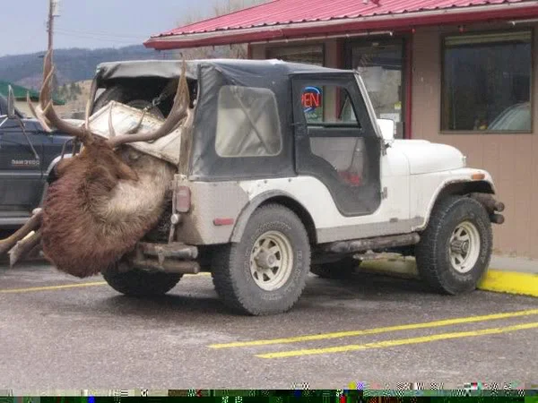 elkjeep.webp