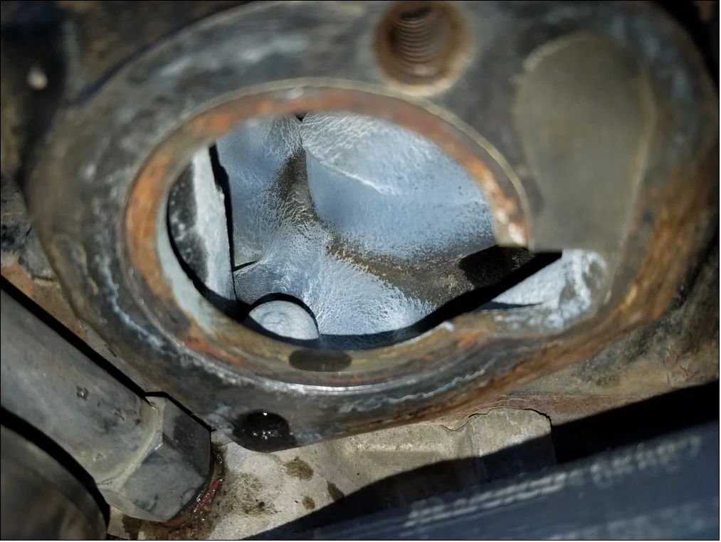 engine flush results.webp
