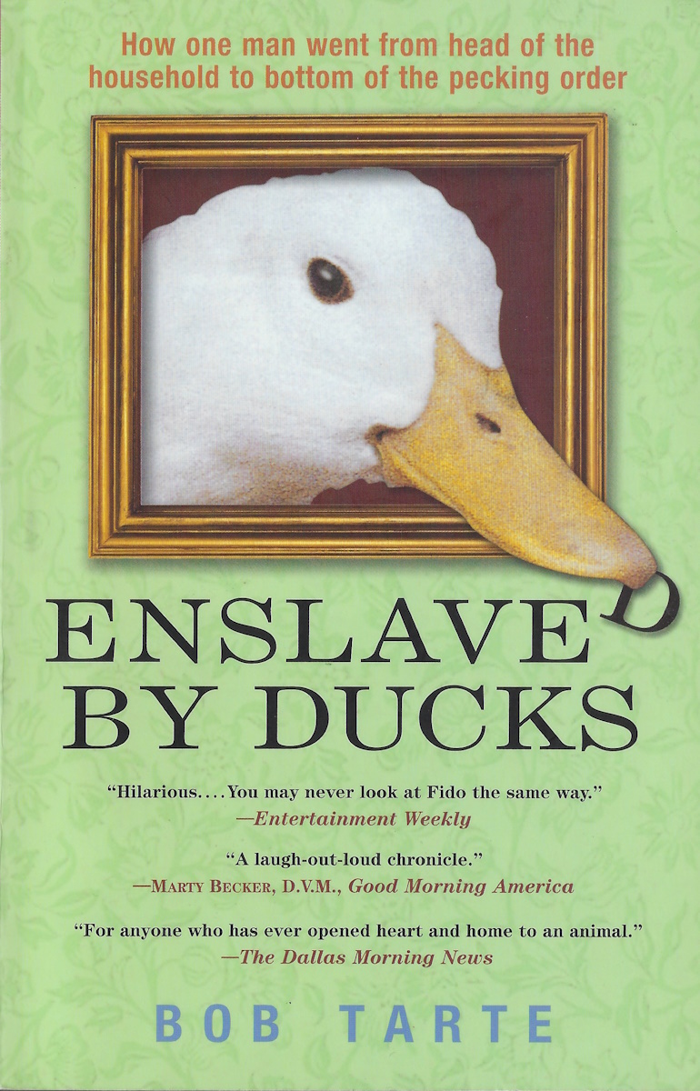 Enslaved_by_Ducks.jpg
