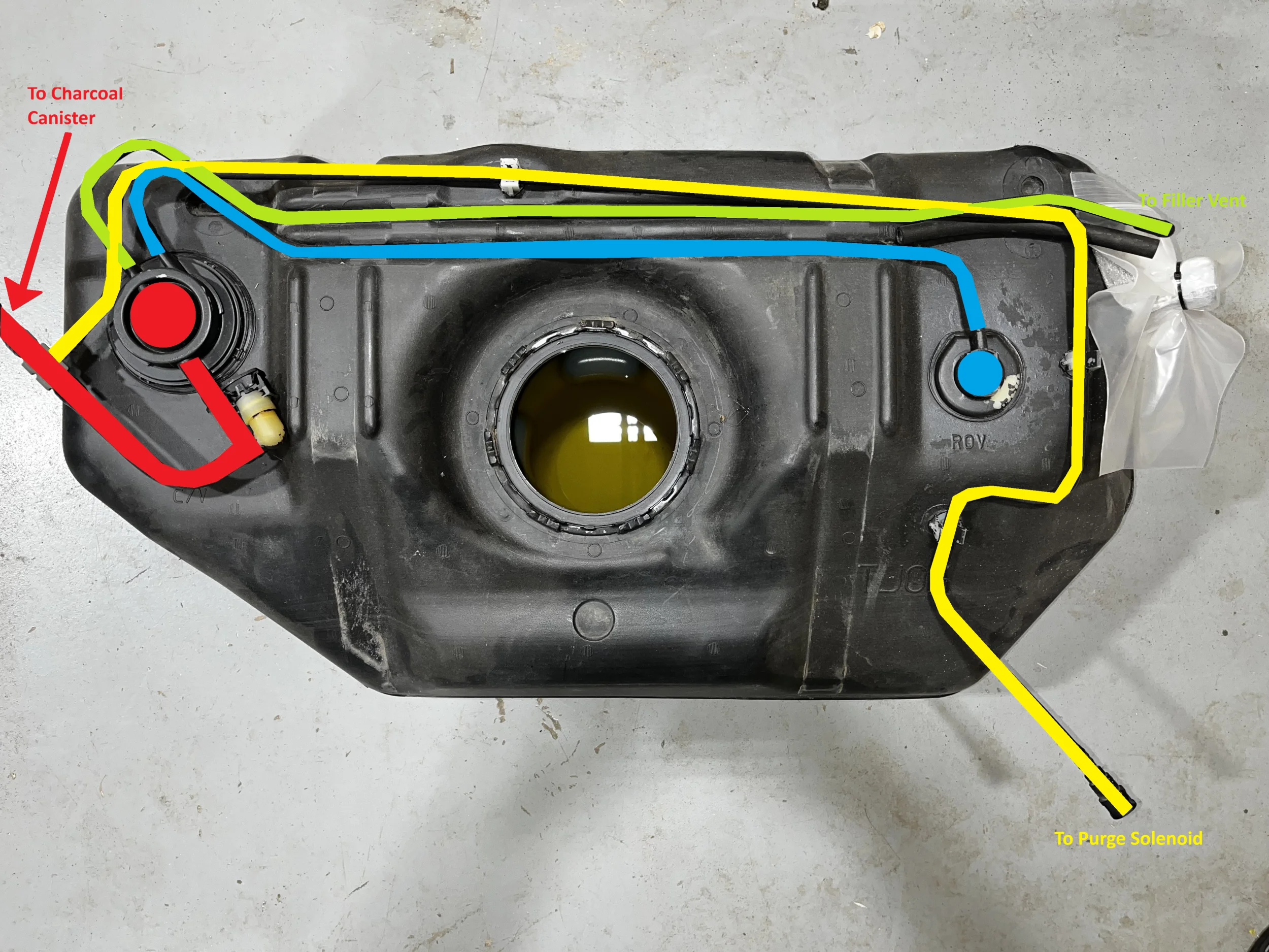 EVAP Color-coded Tank.webp