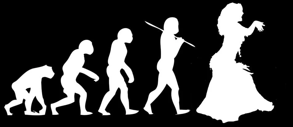 evolution.webp