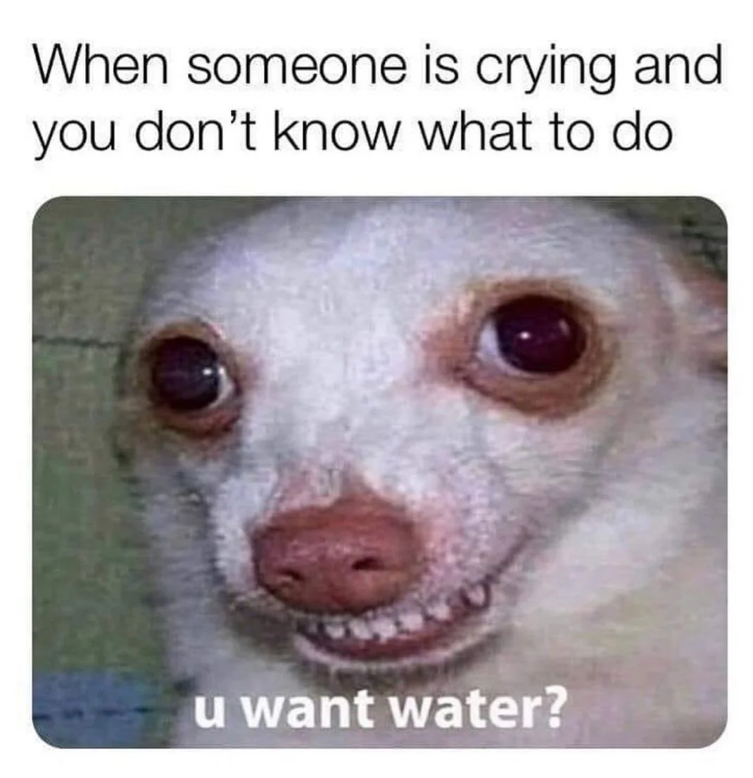 EwlKmC8XMAA1qE8.webp