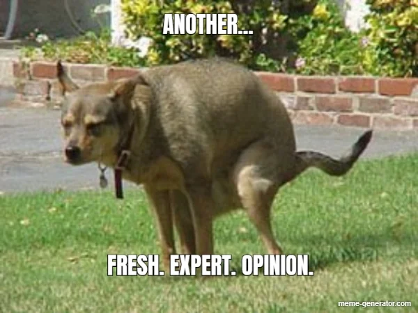 expert1.jpg