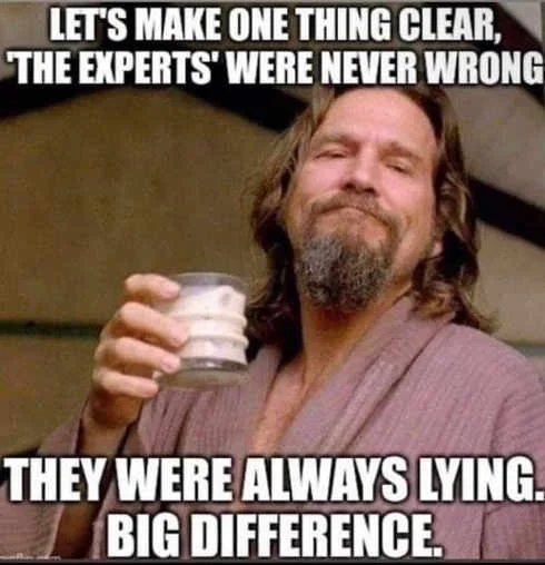 experts-were-never-wrong-they-were-lying.webp