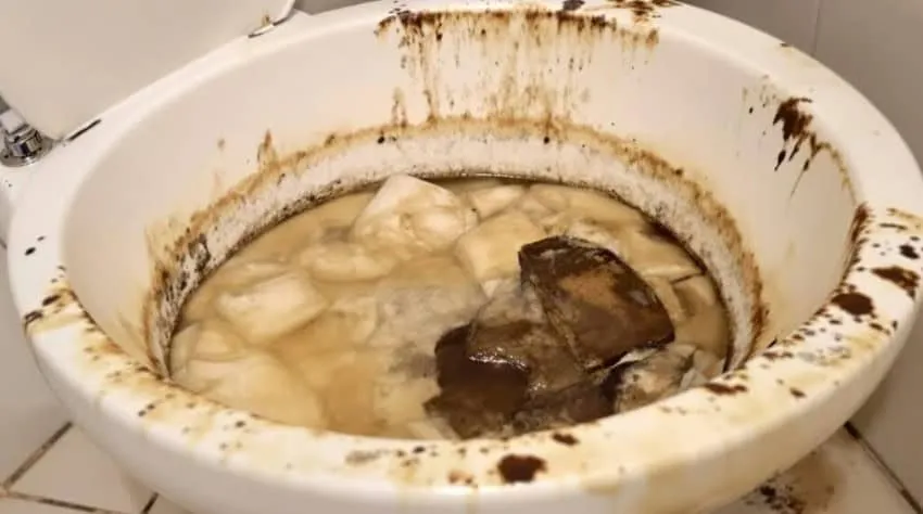 extremely-clogged-toilet.webp