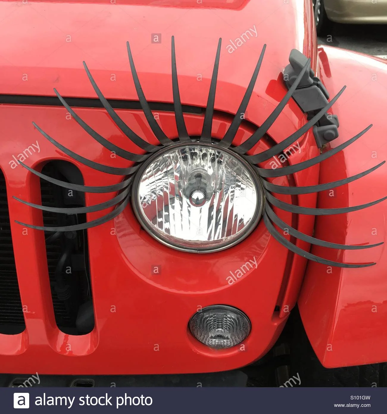 eye-lash-on-jeep-head-lamp-S101GW.webp