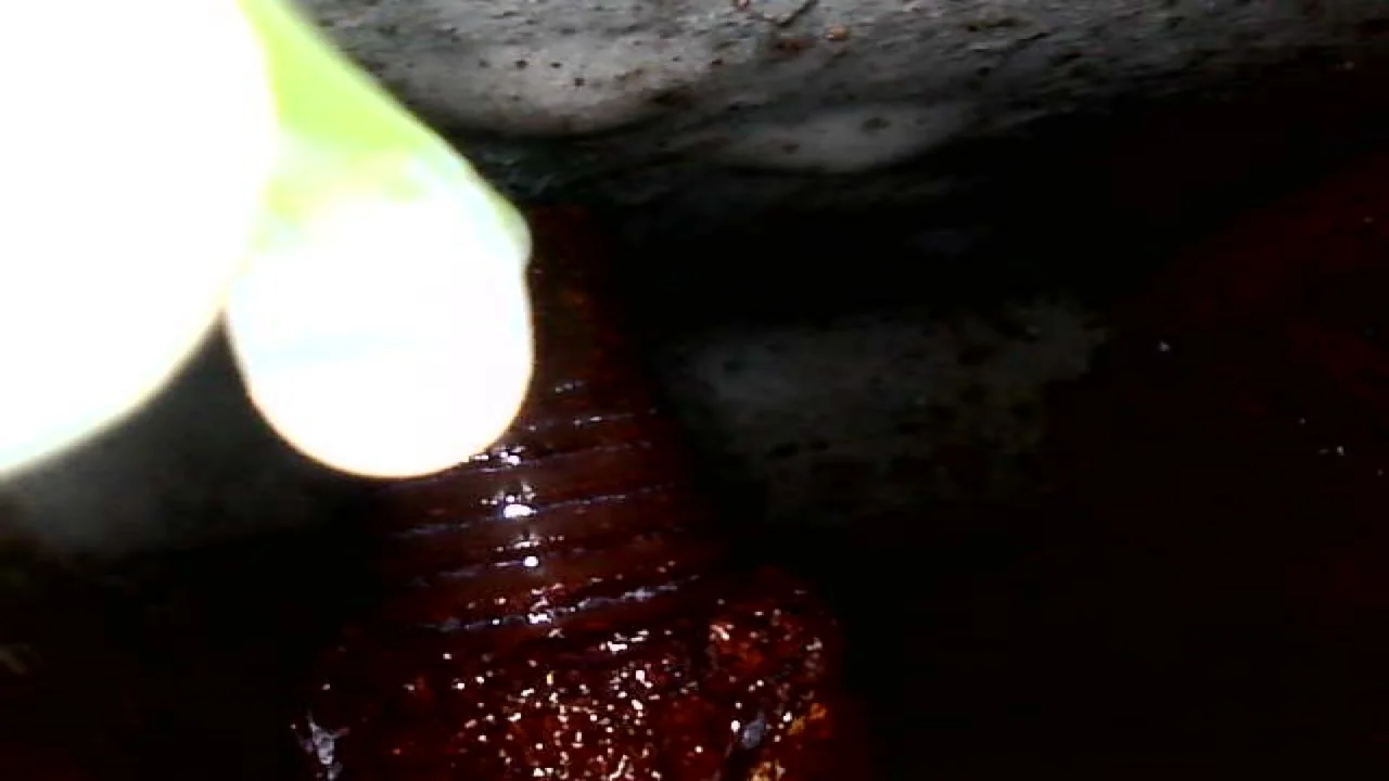 F012A8A9-EB1A-47D5-9053-7F8C68CCCF41.jpeg