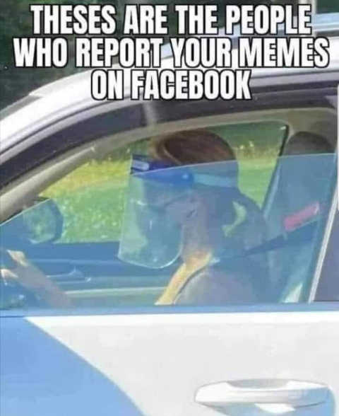 face-shield-people-reporting-memes-on-facebook-masks.jpg