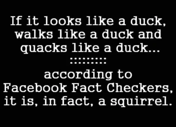 Fact Checkers.webp