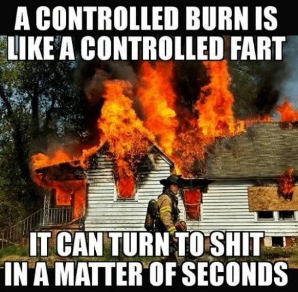 fart.webp