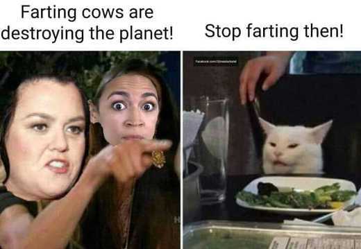 farting-cows-destroying-planet-rosie-odonnell-aoc-angry-lady-cat-stop-farting-then.jpg