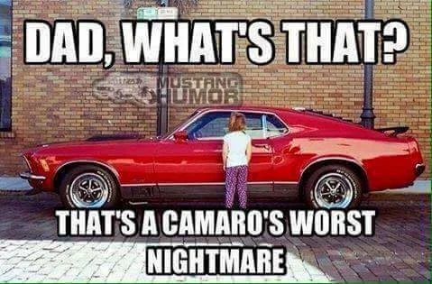 FB_IMG_1507914533154.webp