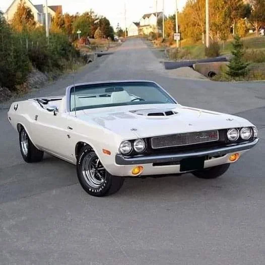 FB_IMG_1665267656603.webp