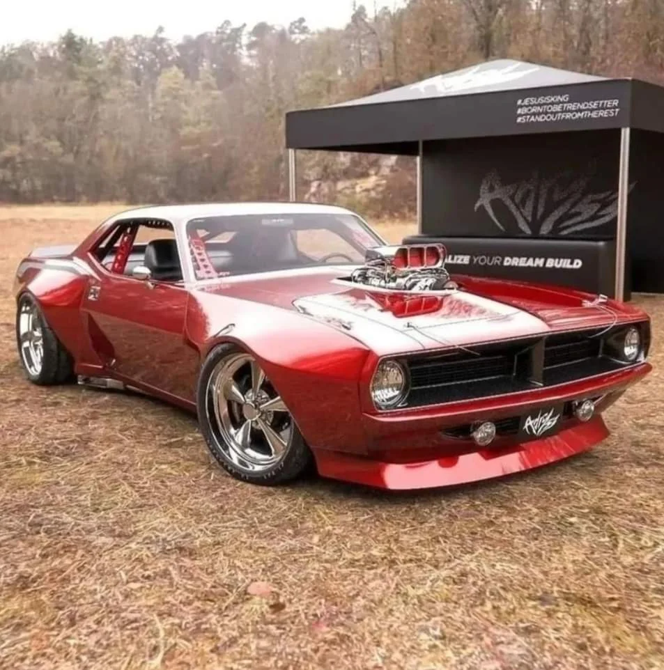 FB_IMG_1665351451822.webp