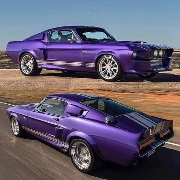 FB_IMG_1665504407348.webp