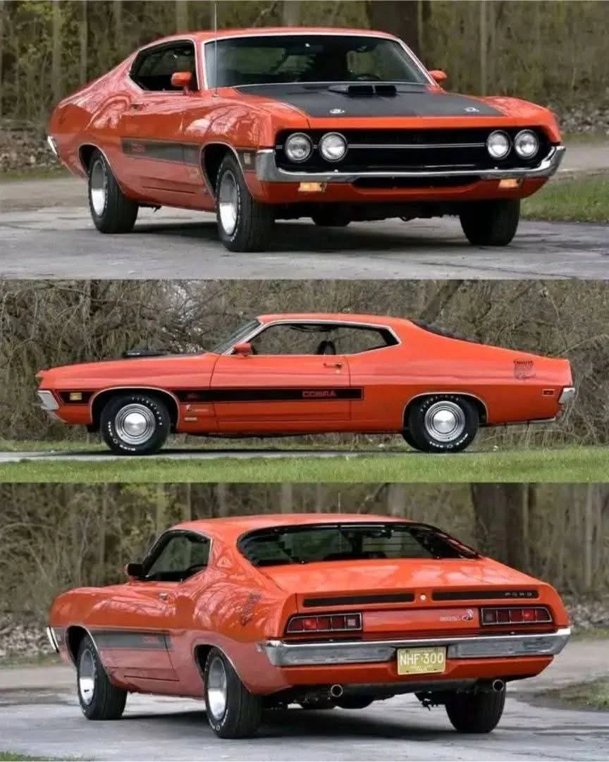 FB_IMG_1733768048719.webp