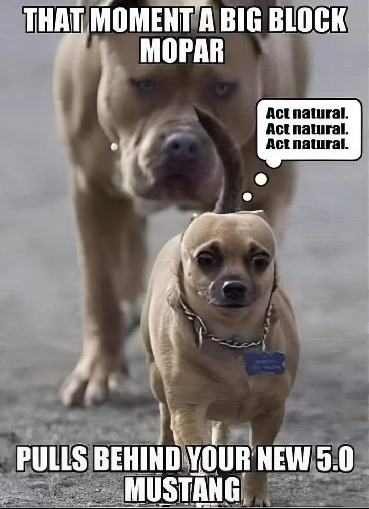 FB_IMG_1743063479521.webp