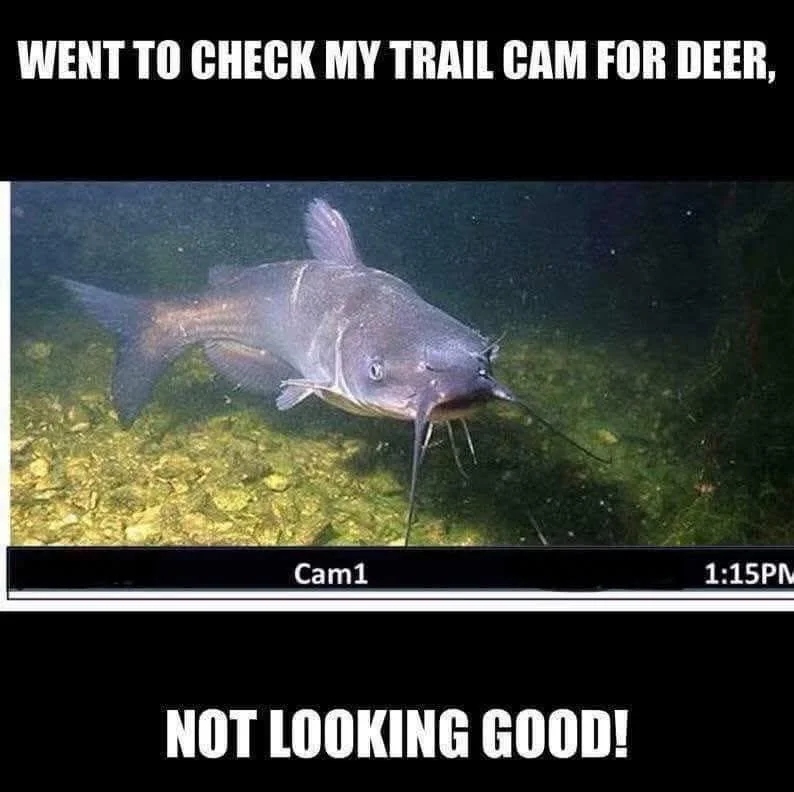 FB_IMG_1743867307523.webp