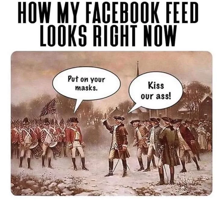 feed.webp