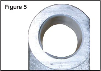 Figure5.webp