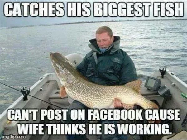 fish.webp