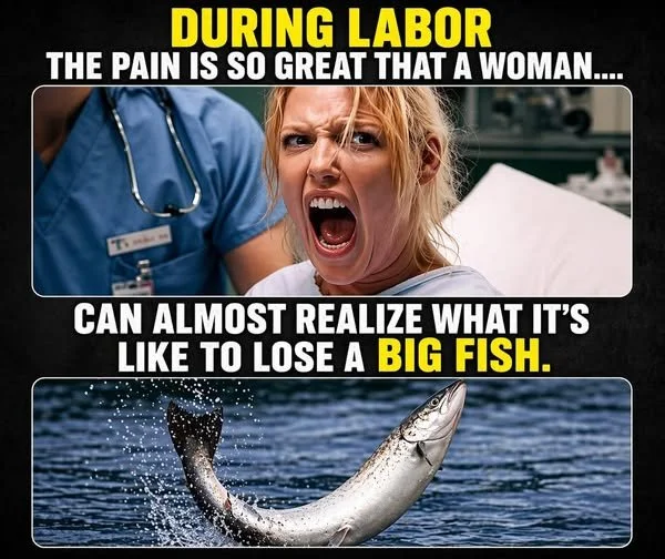 Fish.webp