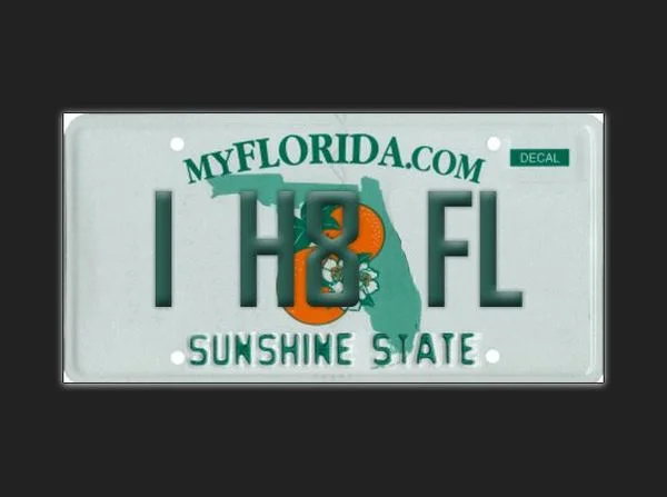 Fla plate.webp