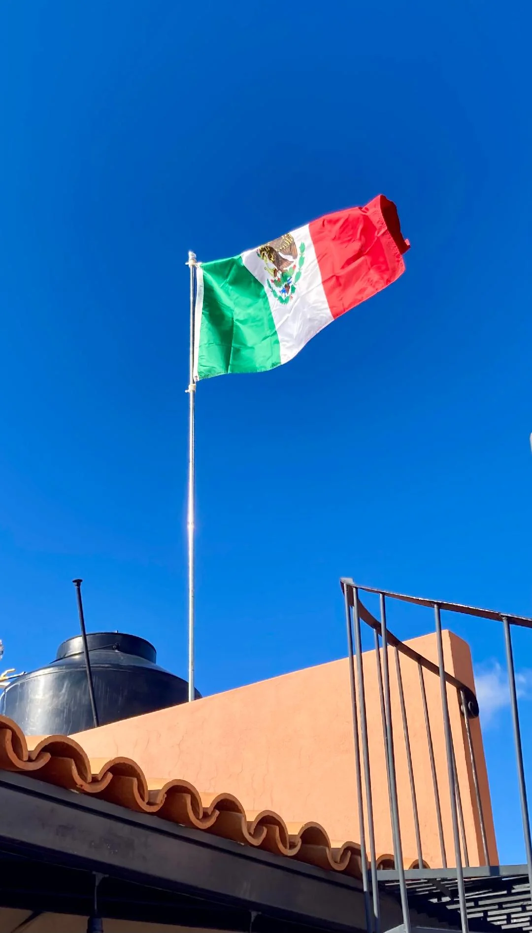 Flag 2.webp