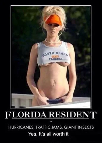 Florida1.webp