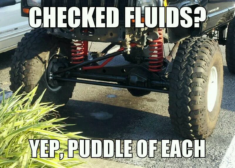 Fluids.webp