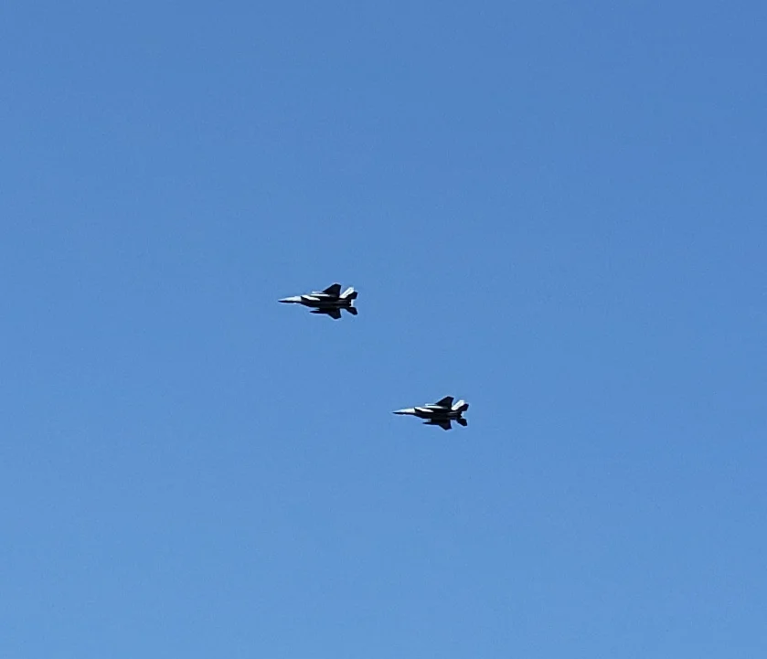 Fly By.webp