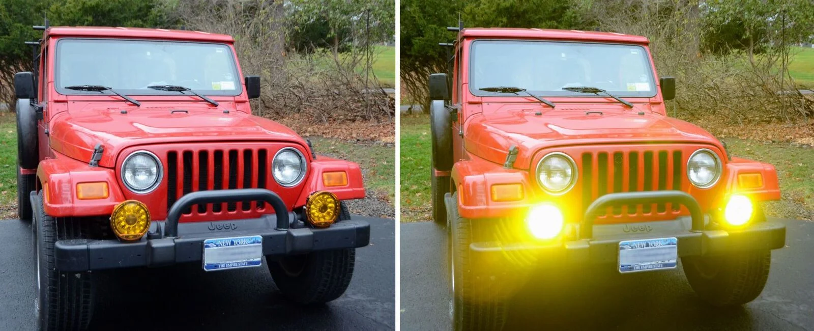 FogLights.webp