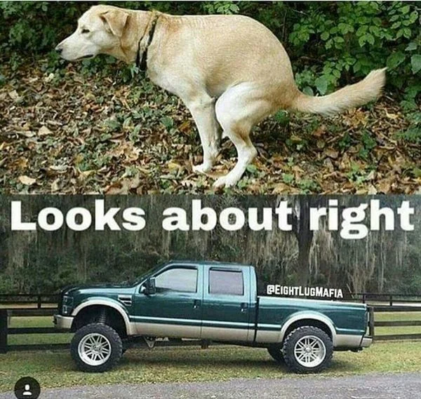 ford.webp