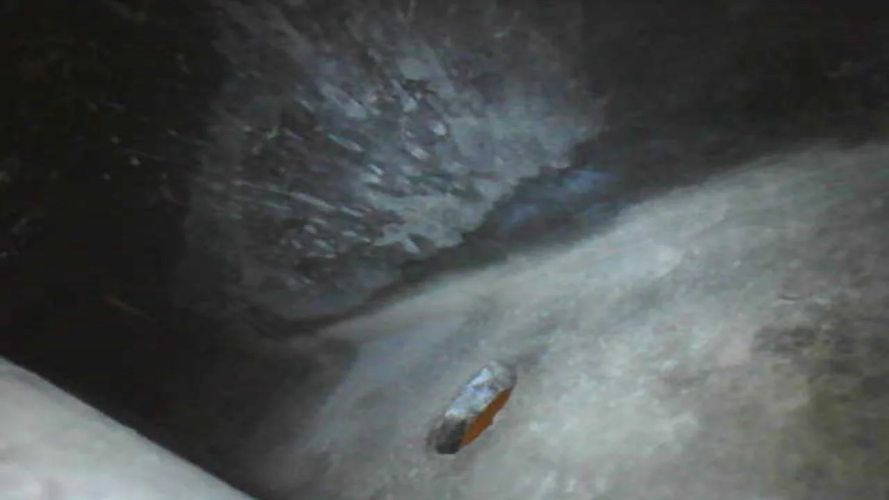 frame 9.webp
