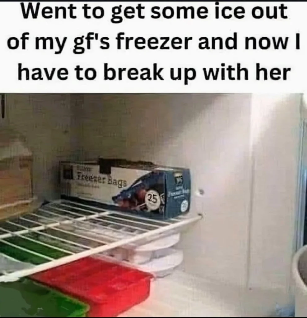 Freezer.webp