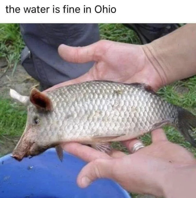 FrMdPuDXsA4vglc.webp