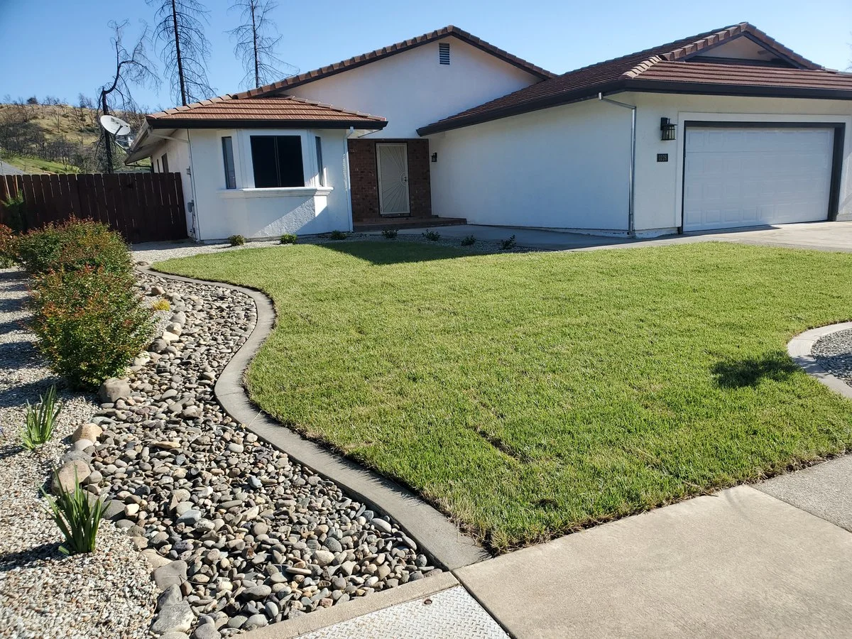 Front Yard 05 06 2020.webp
