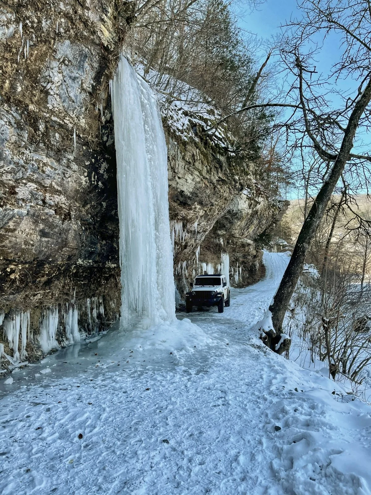 frozen cwf.webp