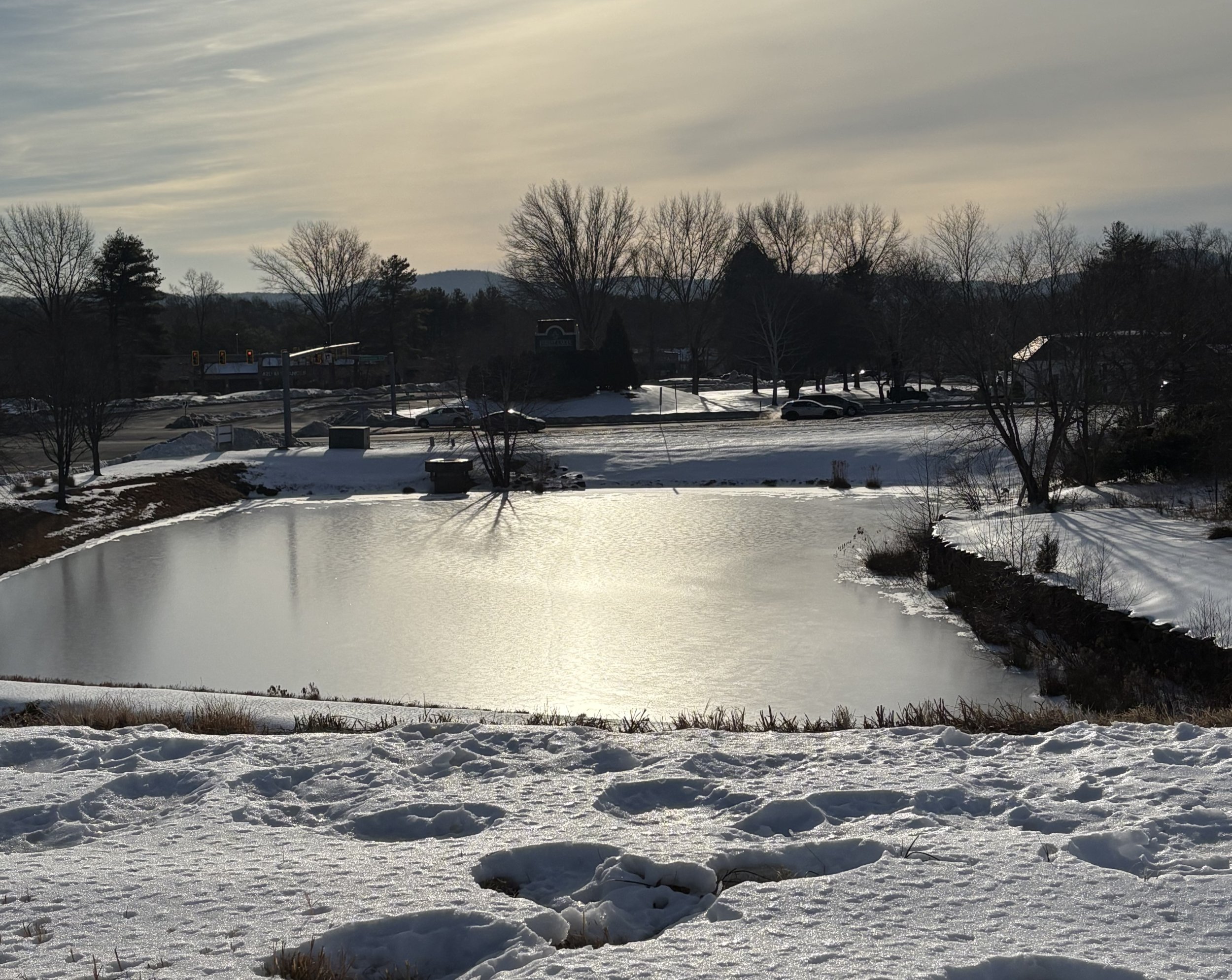 frozen pond.jpg