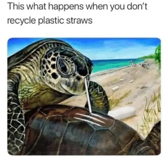 FtsYFJTWIAwYwPx.webp