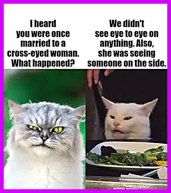 funnies8-3703898.webp