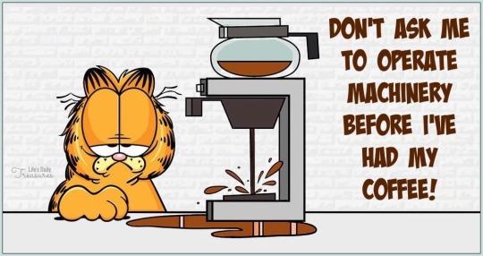 Garfield before Coffee.jpg