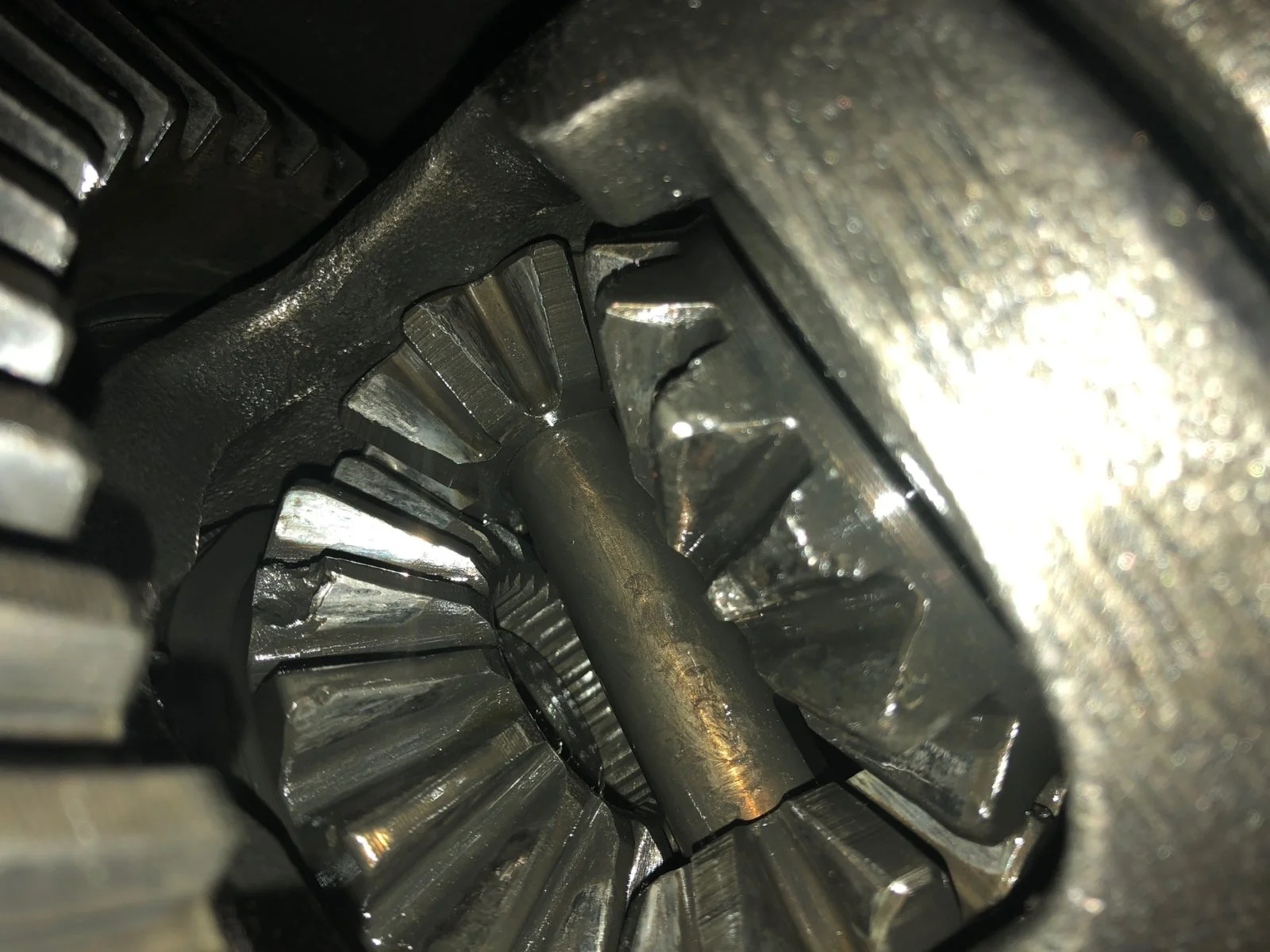 Gear 1.webp