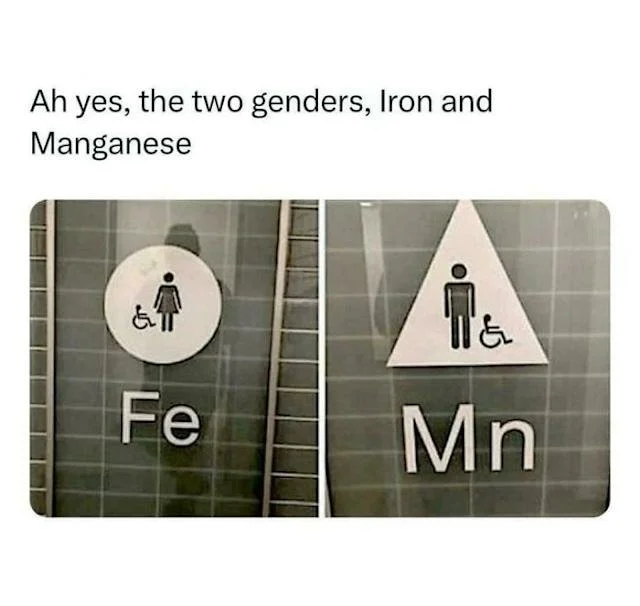 Genders.webp